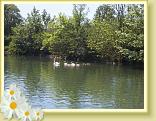 Eswars_24.06.2010 (2)